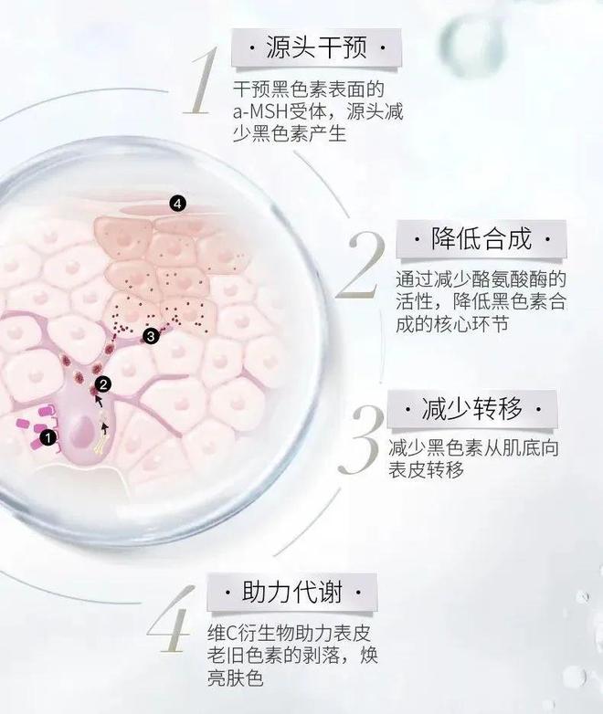 道我在雪场被晒得很曼妙CQ9电子中国网站不知(图12)